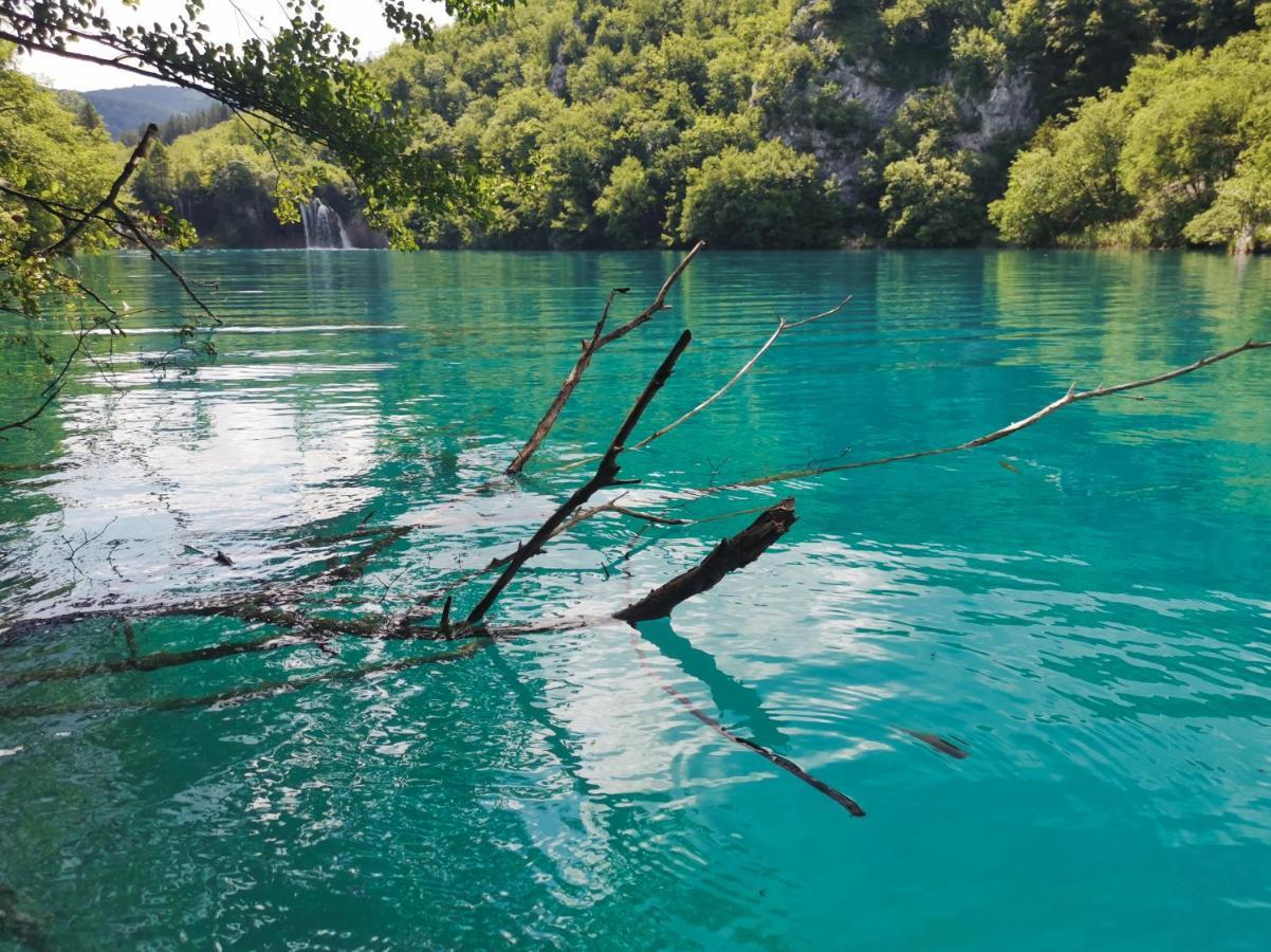 Green Garden Plitvice lakes Plitvica selo Buitenkant foto